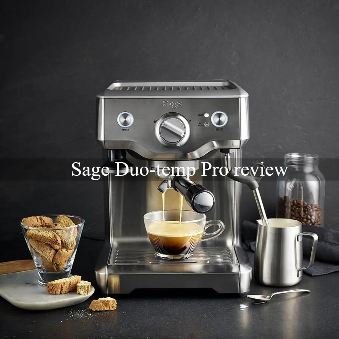 Sage Duo temp Pro review
